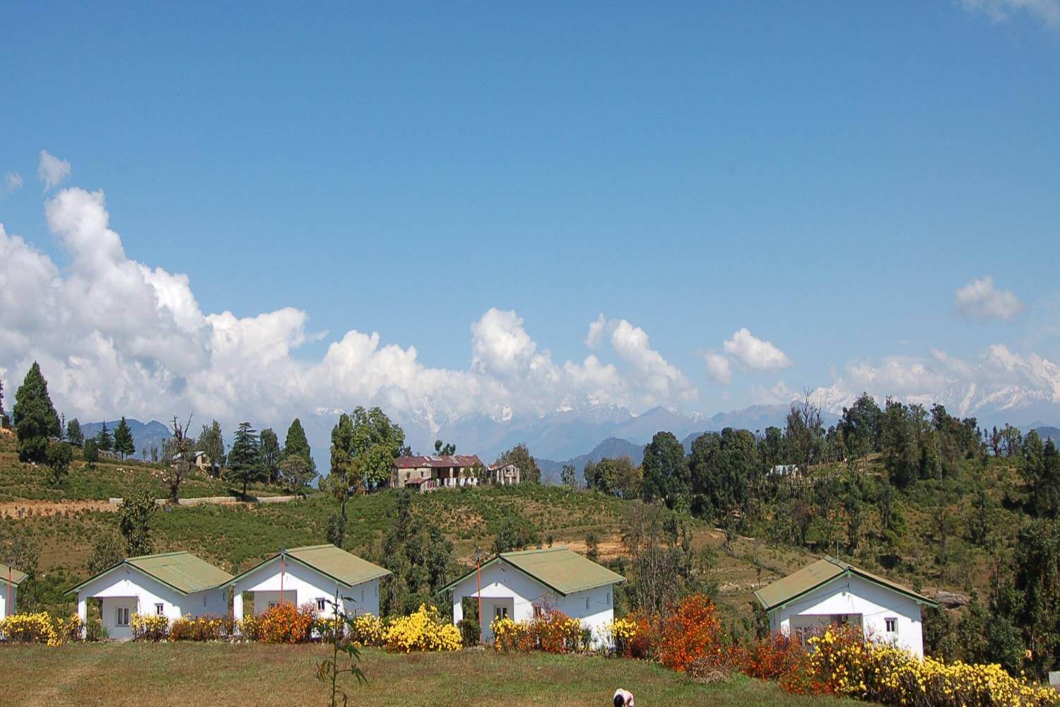 Chaukori Uttarakhand Travel Blog