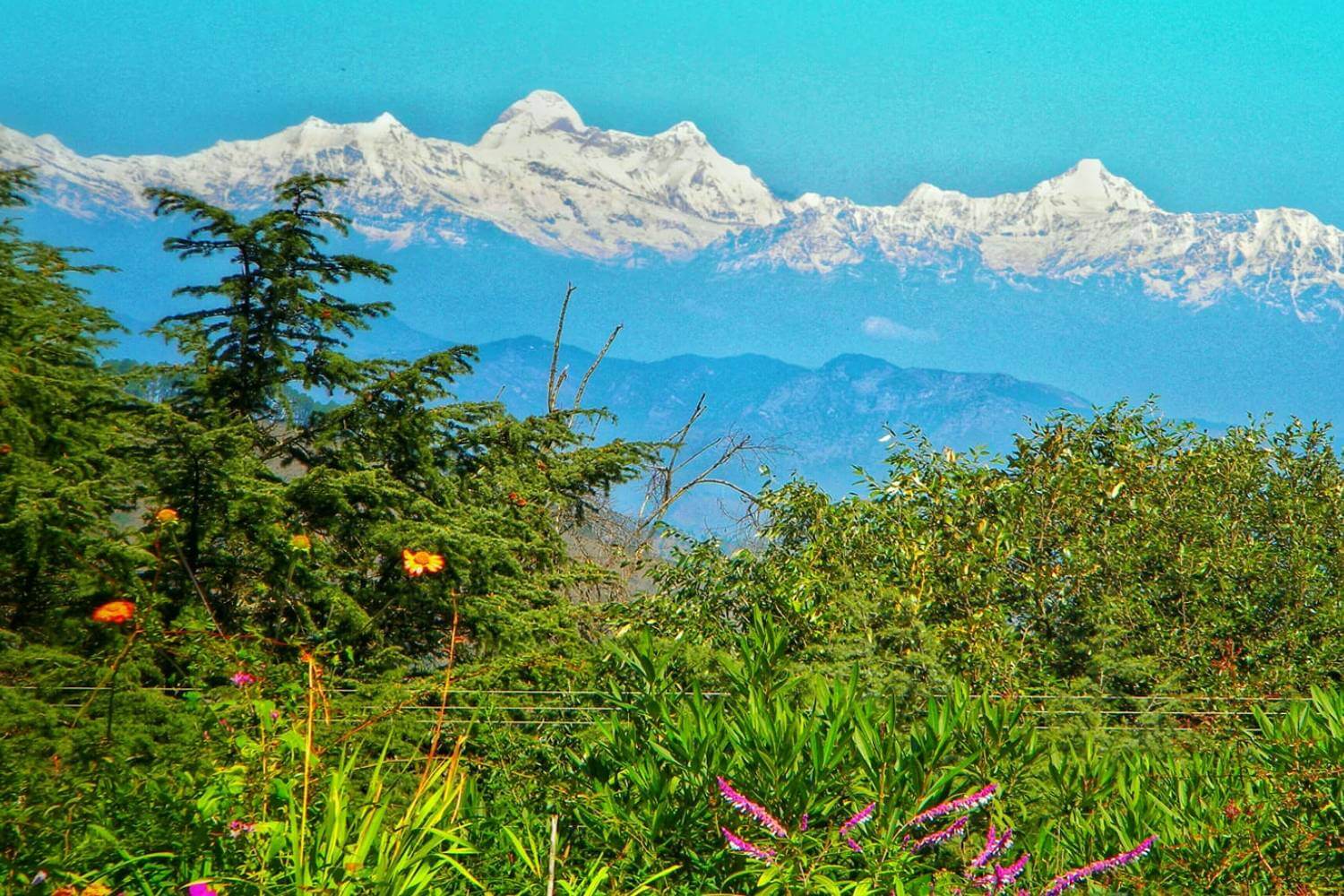 View from Lohaghat Mayaboti Uttarakhand