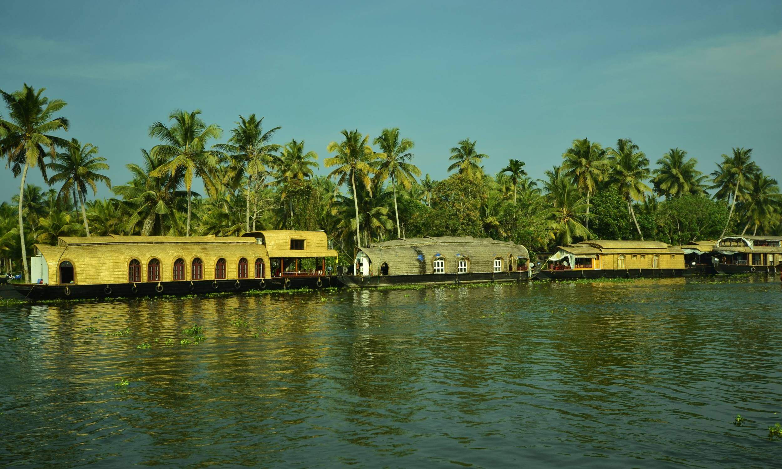 Alleppey Backwater Kerala