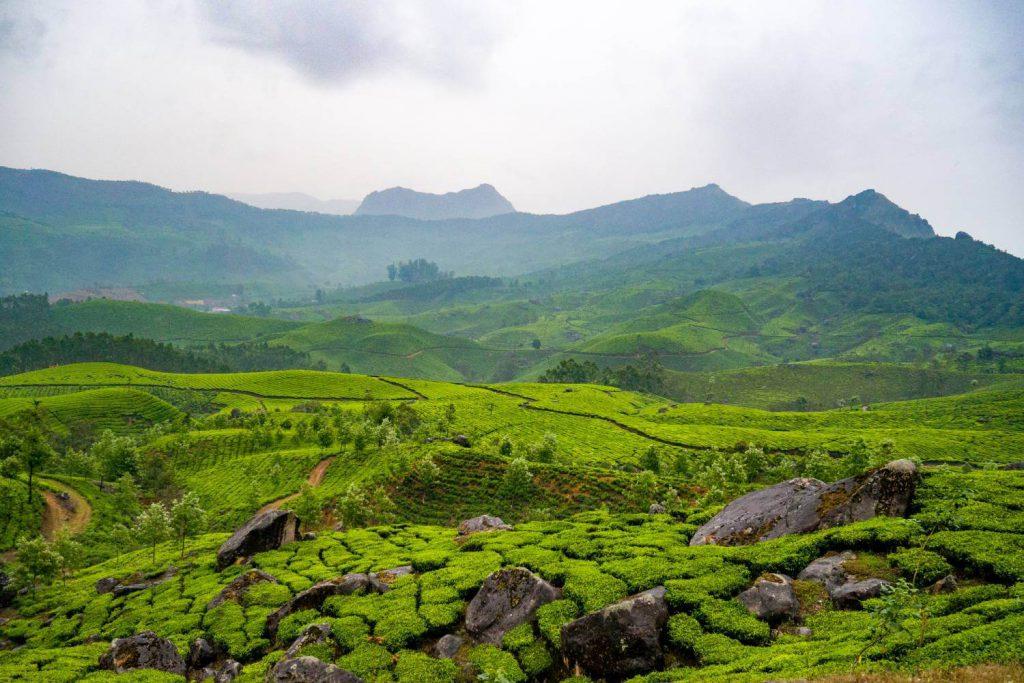 Scenic Kerala Budget Tour | 3 Nights 4 Days Kerala Budget Tour Package