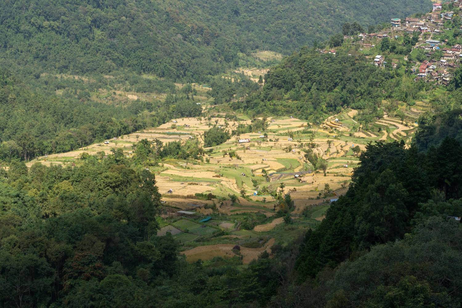 Khonoma Green Village Nagaland