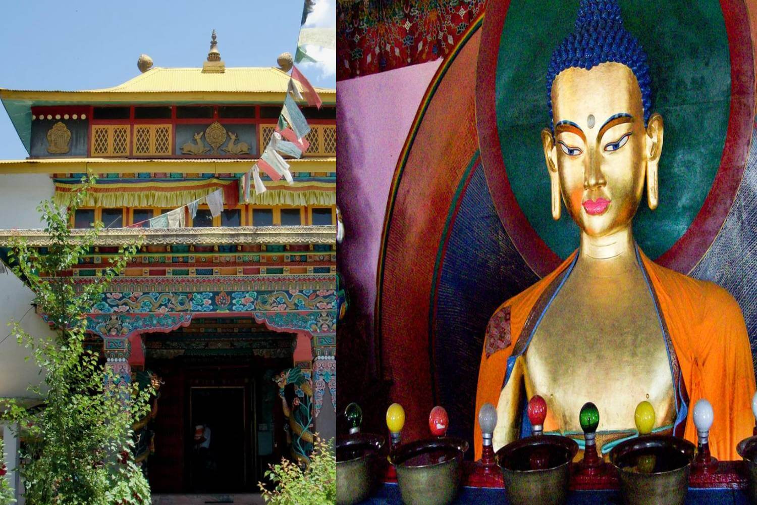 Gadhan Thekchhokling Gompa Monastery Manali