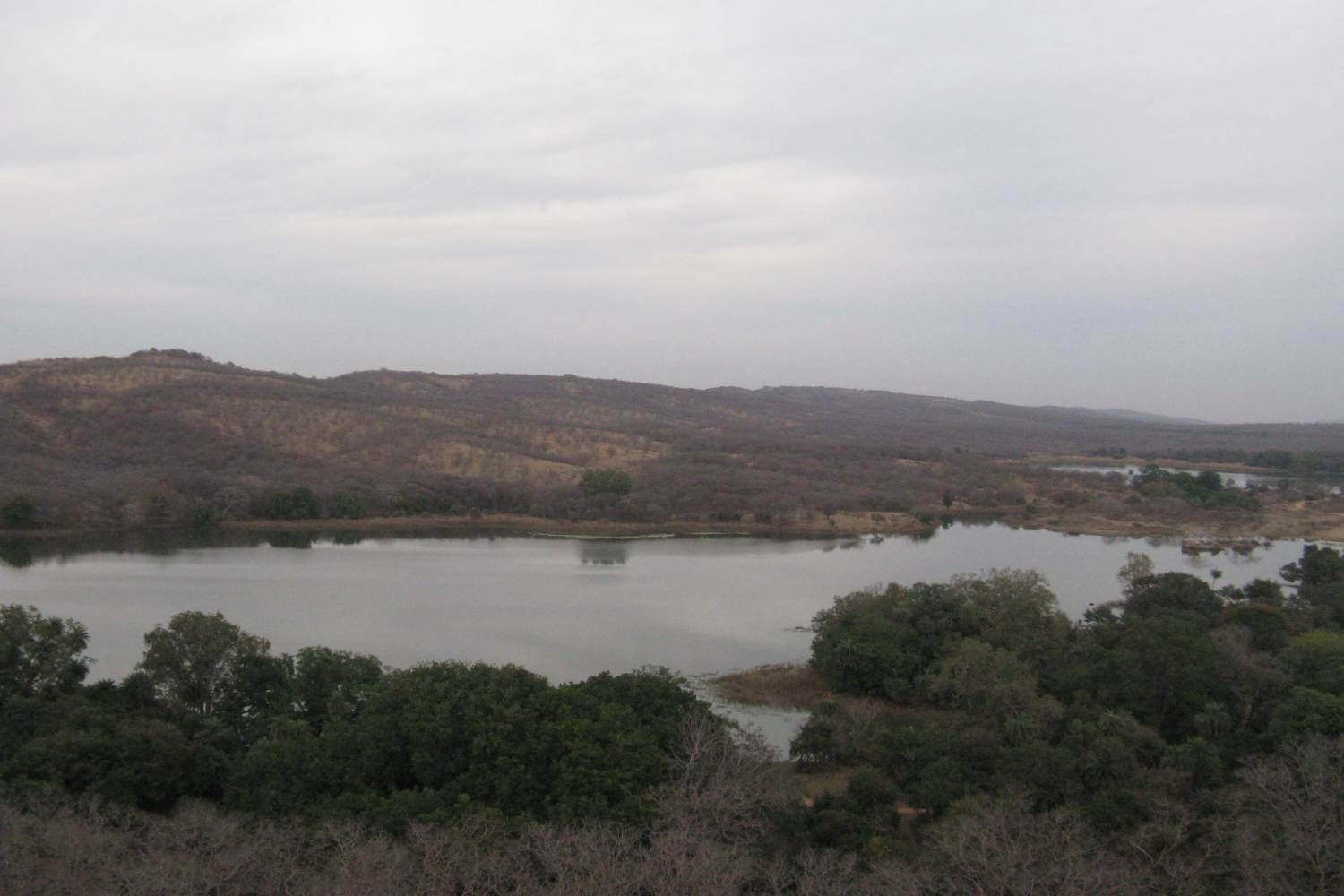 Padam Lake Ranthambore