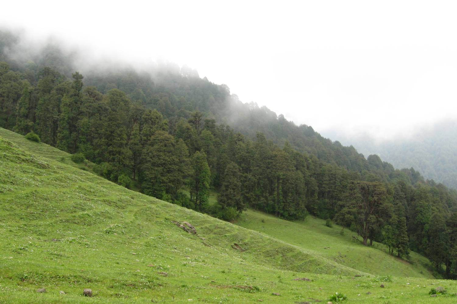 Dayara Bugyal Trek