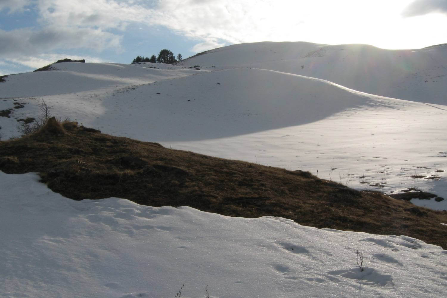 Dayara Bugyal Winter Trek