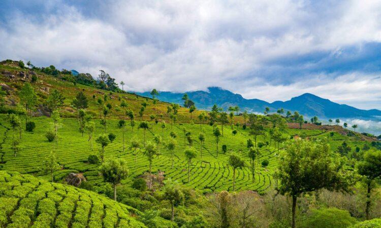 12 Best Tourist Places To Visit In Kerala 