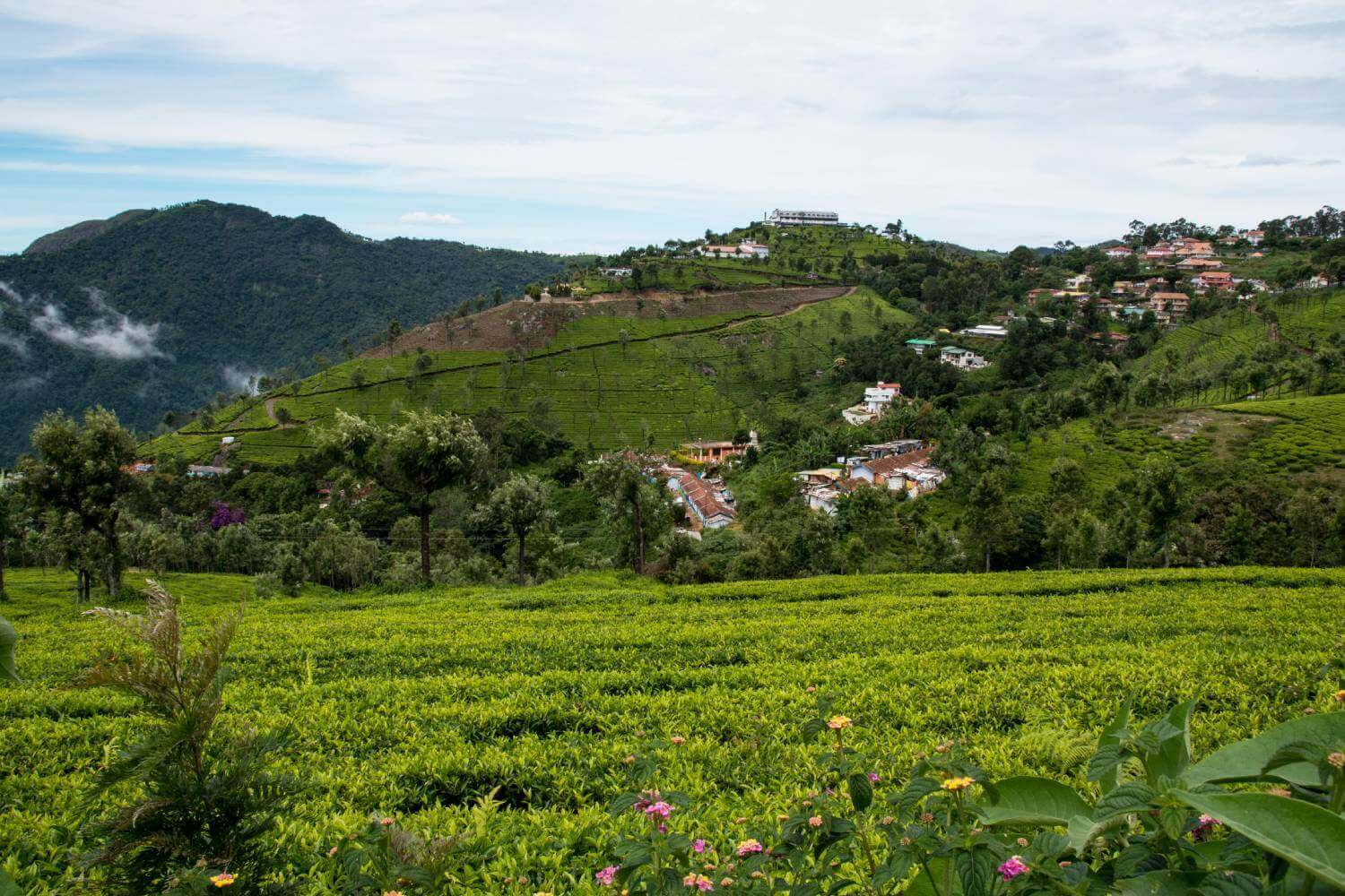 Coonoor Hill Station South India