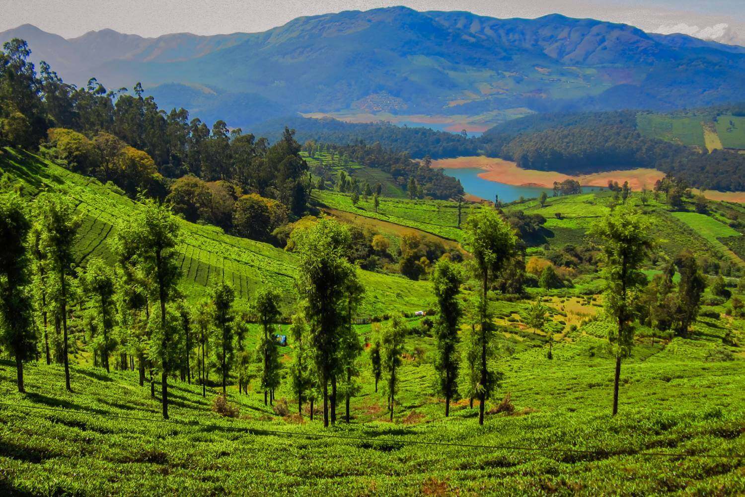 Ooty Hill Station South India