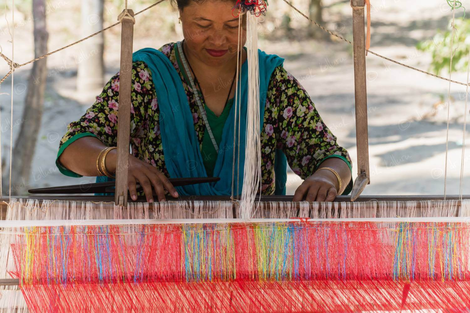 Weaver Arunachal Pradesh