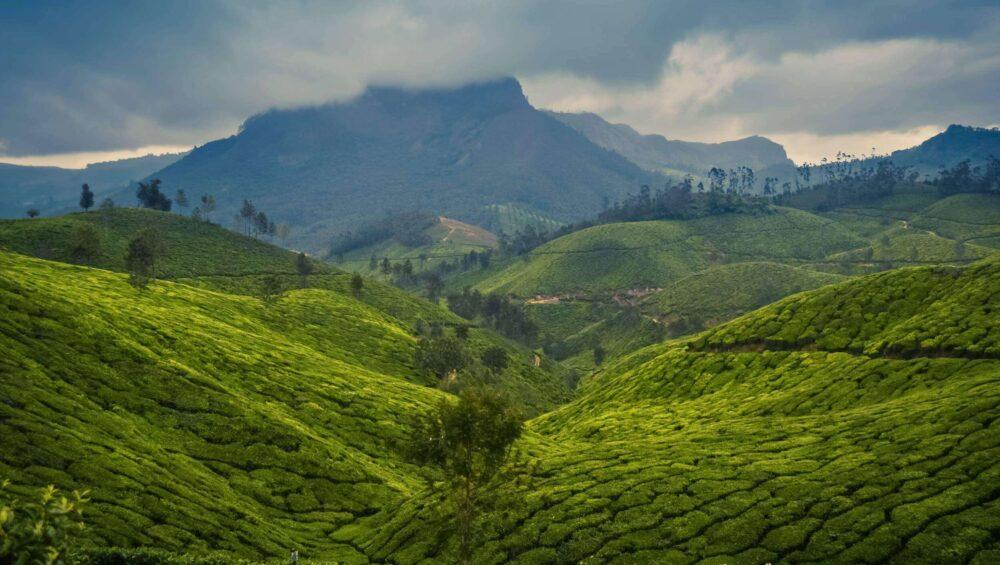 Best Hill Stations to Visit in Kerala