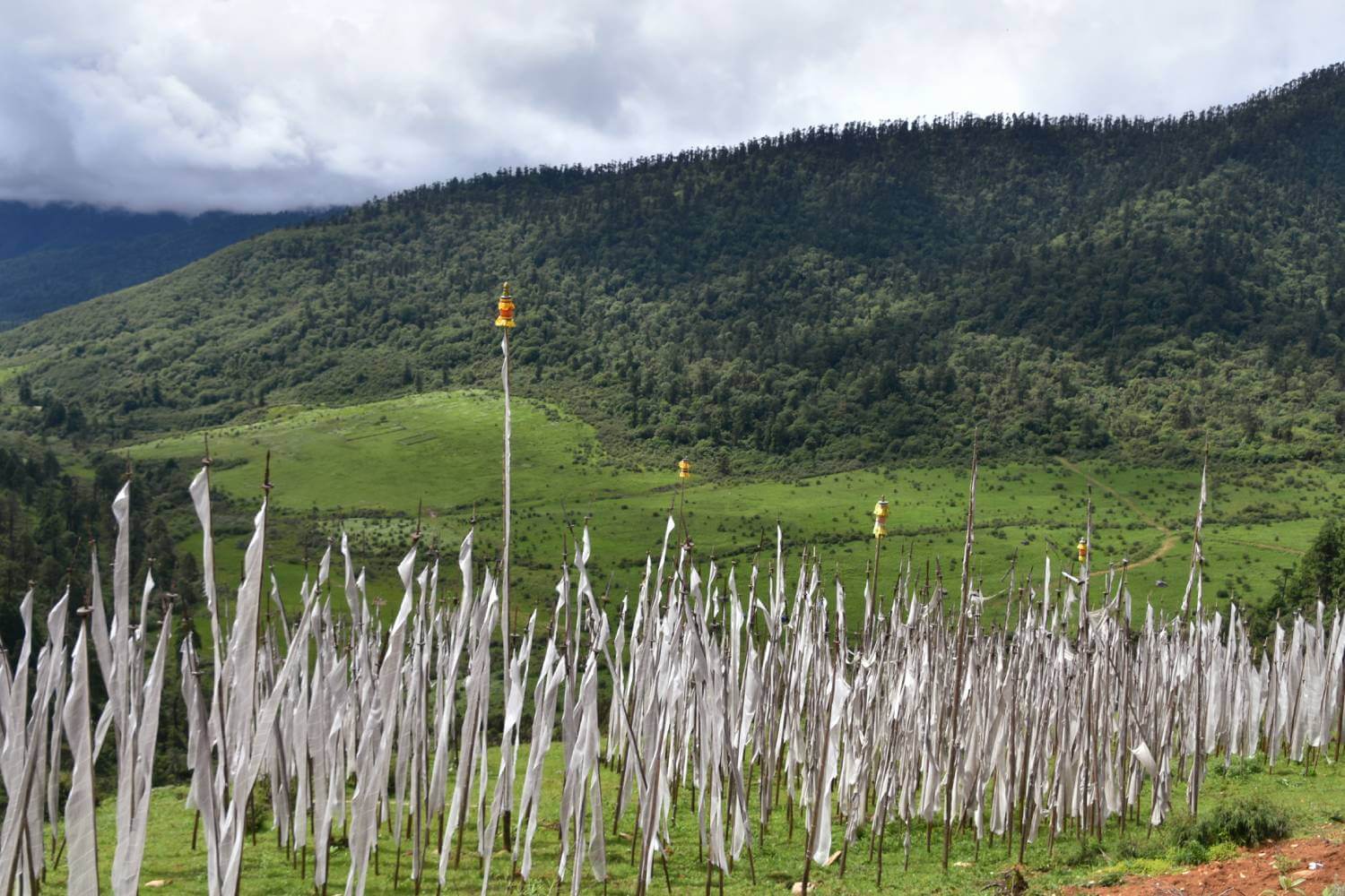 Wangdue Phodrang Pele La Pass Bhutan