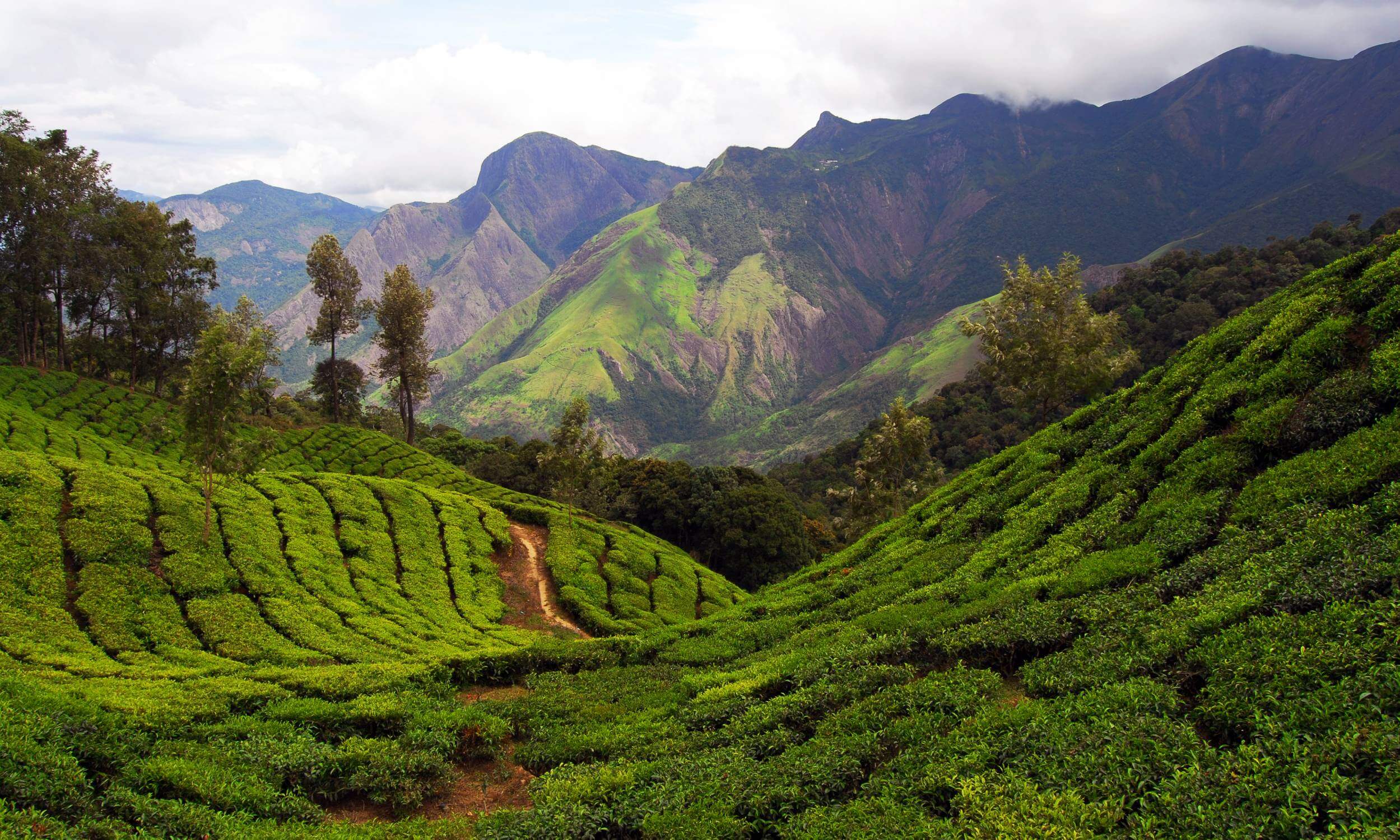 Munnar Hill Station - Best Summer Tourist Place in South India