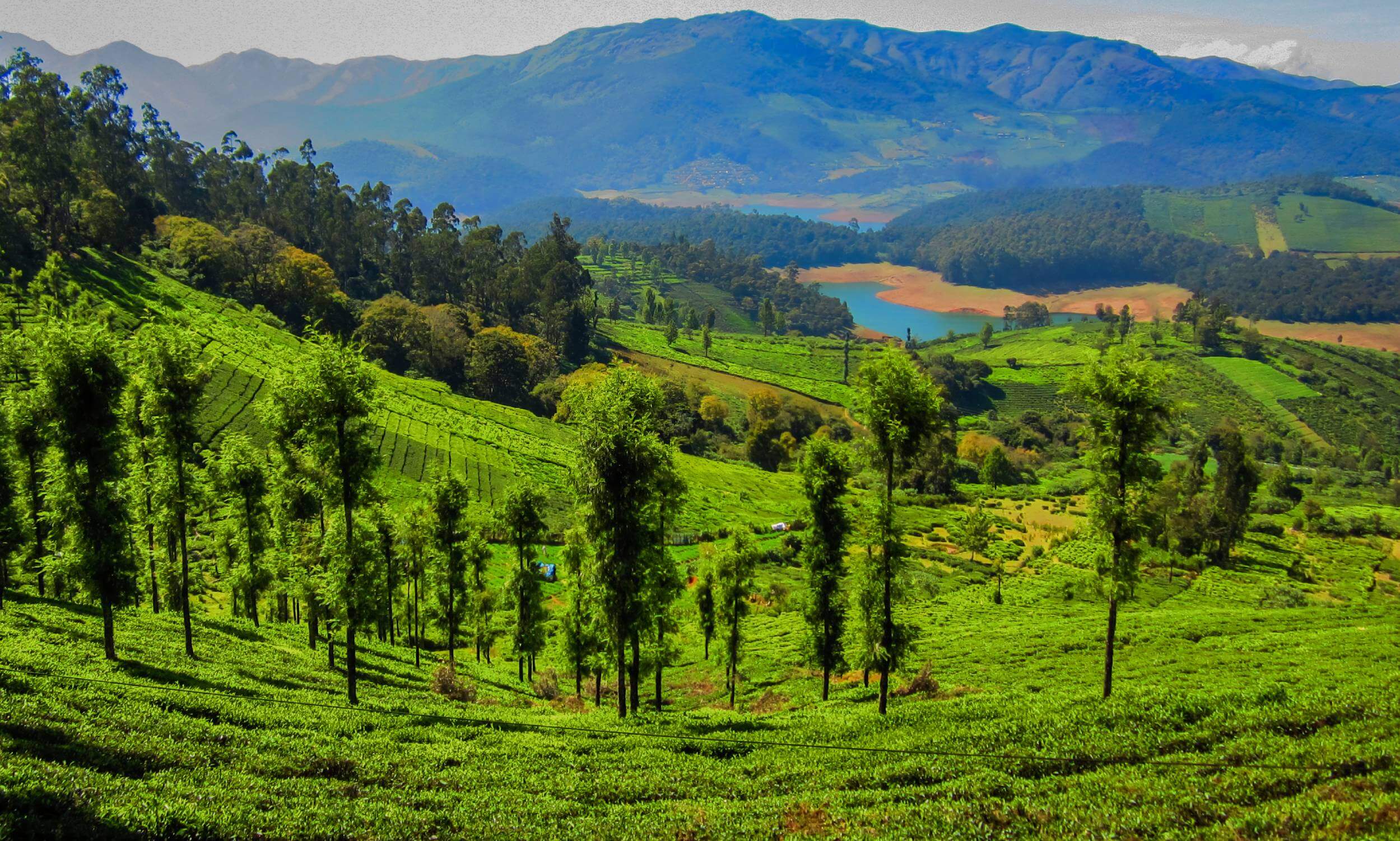 Ooty Hill Station- Summer Destination in South India
