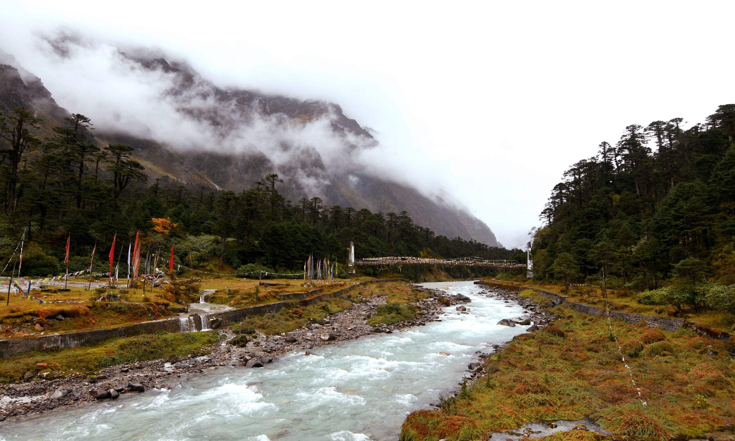 Lachung Yamthang Valley- Popular Honeymoon Places in Sikkim