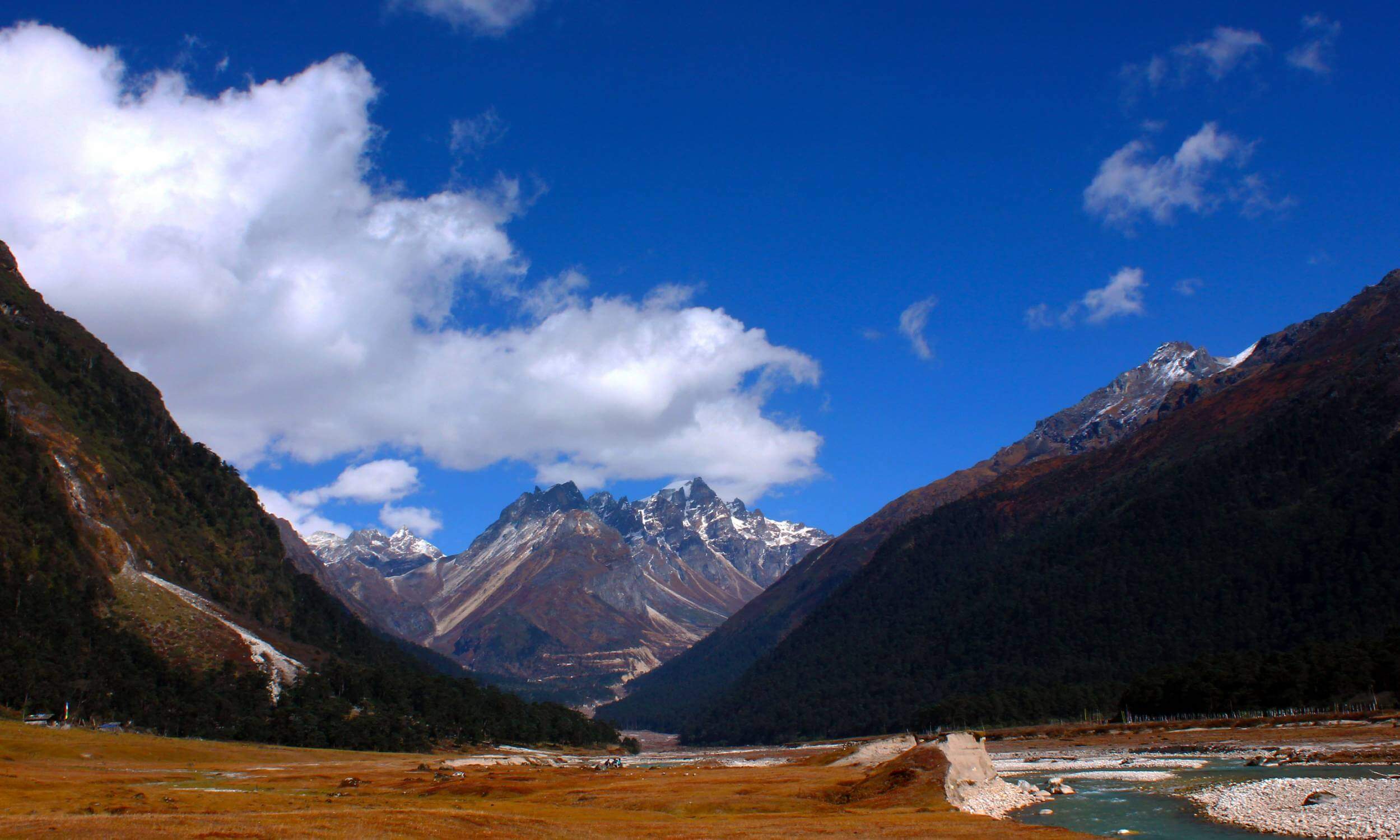 Yumthang Valley Sikkim Tour