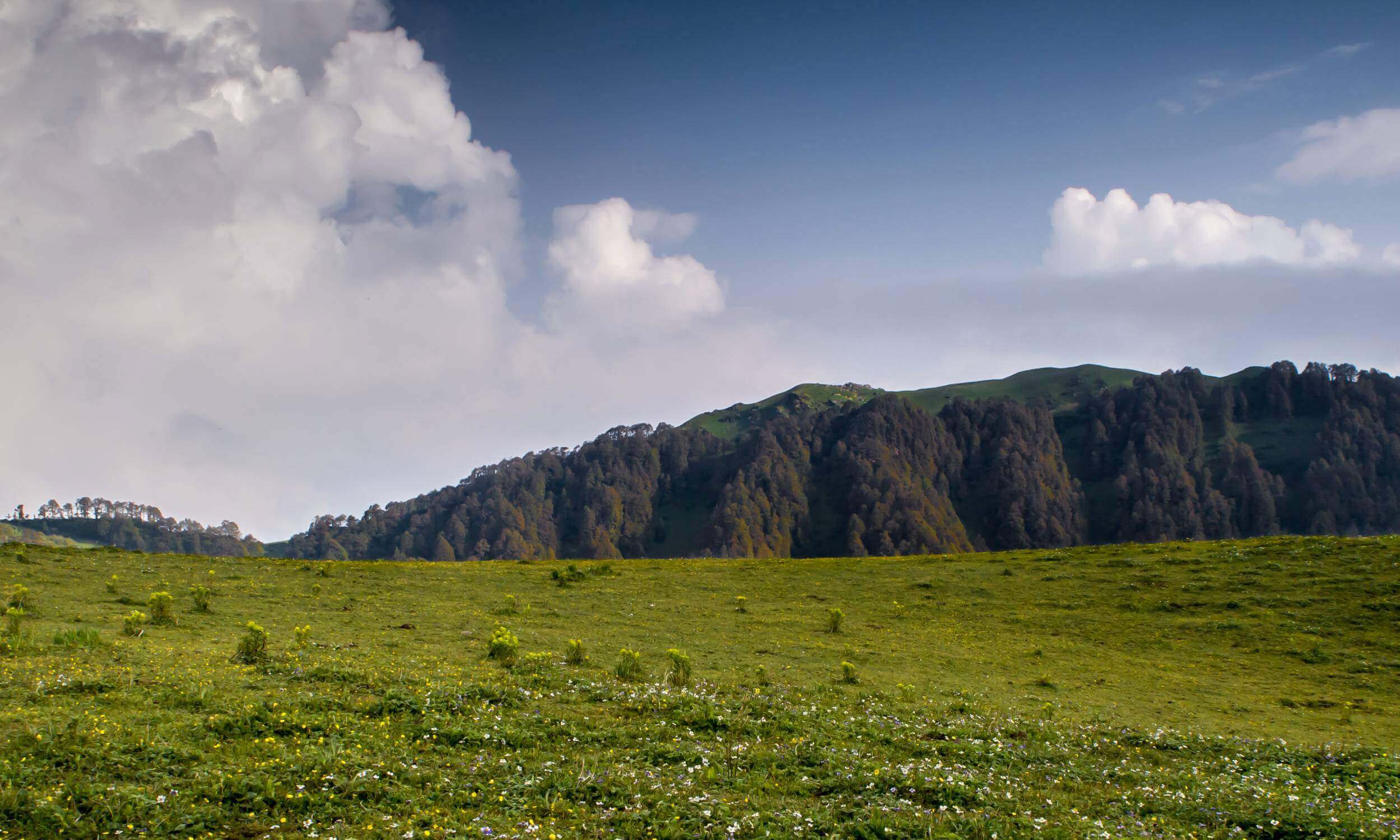 Dayara Bugyal Trek Uttarkashi Uttarakhand