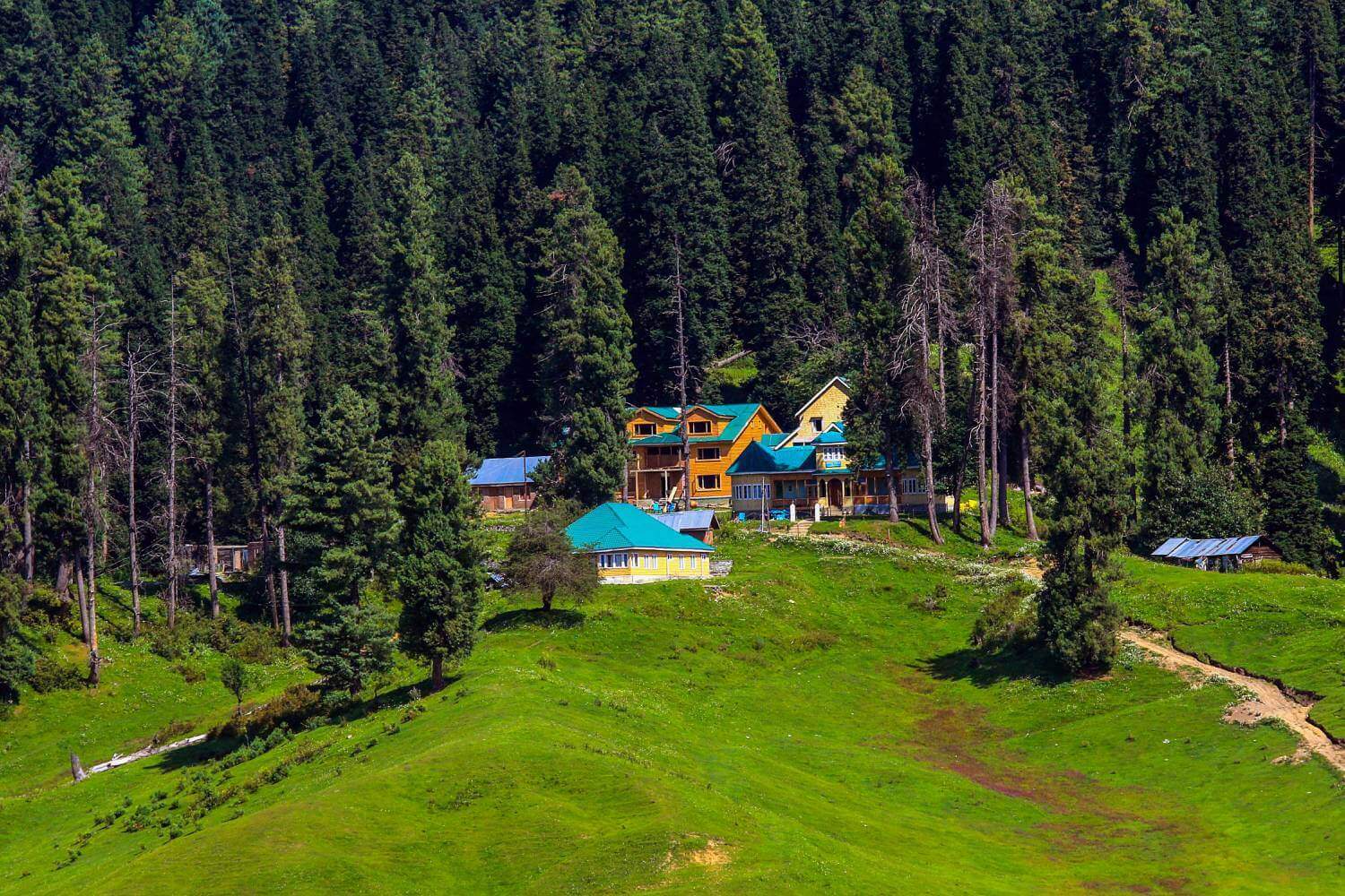 Gulmarg Jammu and Kashmir