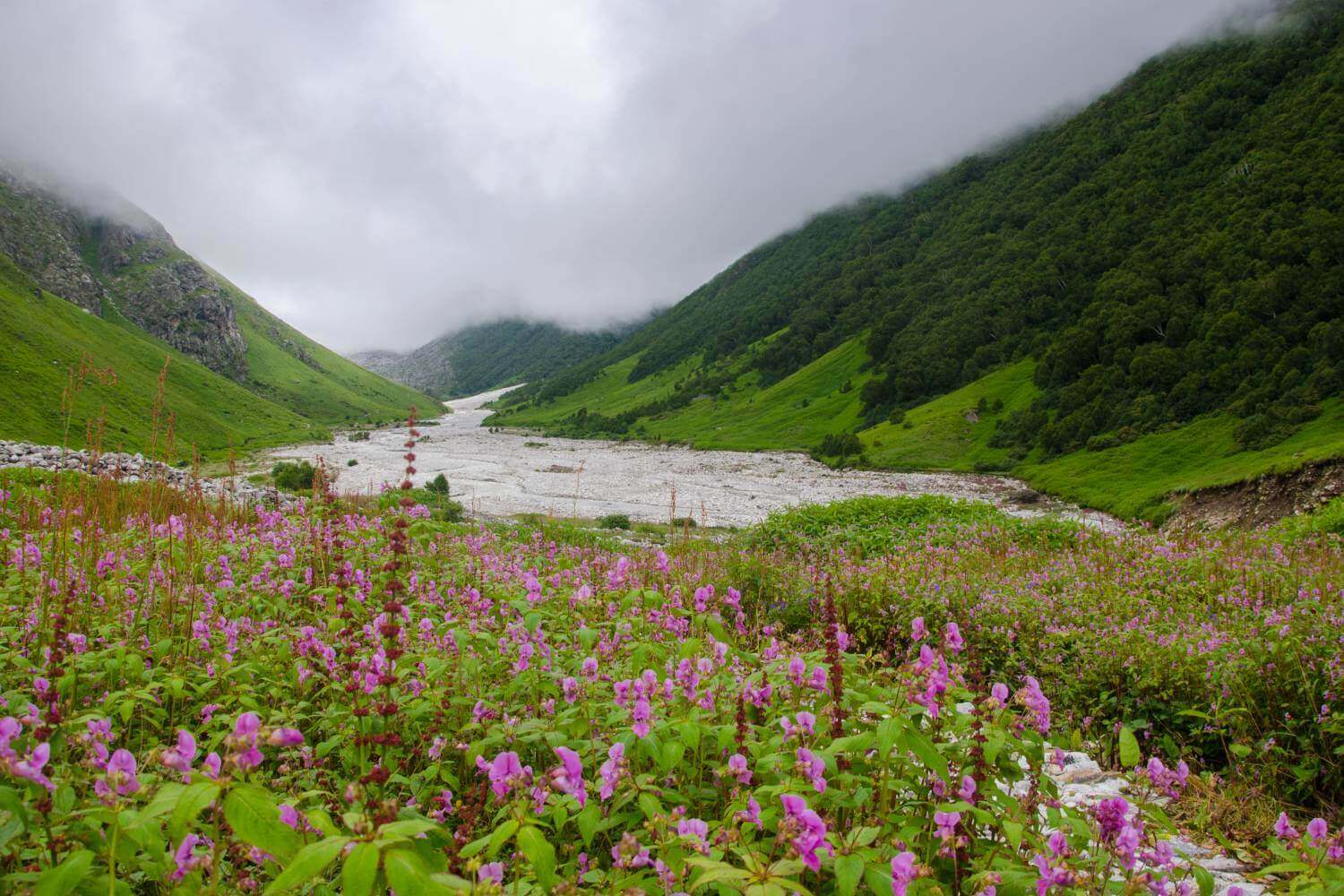 Valley of Flowers Uttarakhand Himalayas