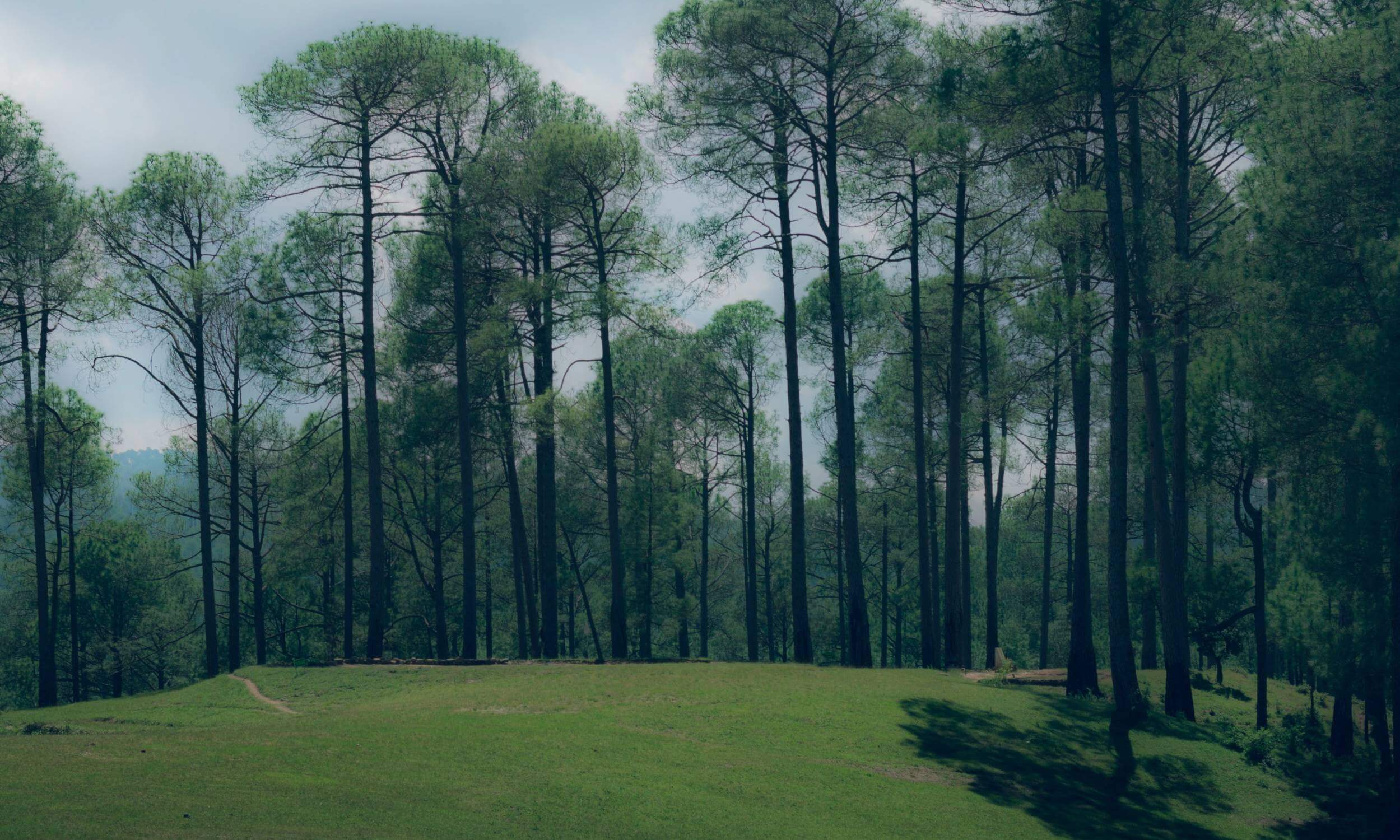 Ranikhet Tourism-Best Time to Visit Ranikhet