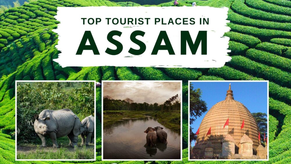 Assam Tourism- Top Tourist Places in Assam