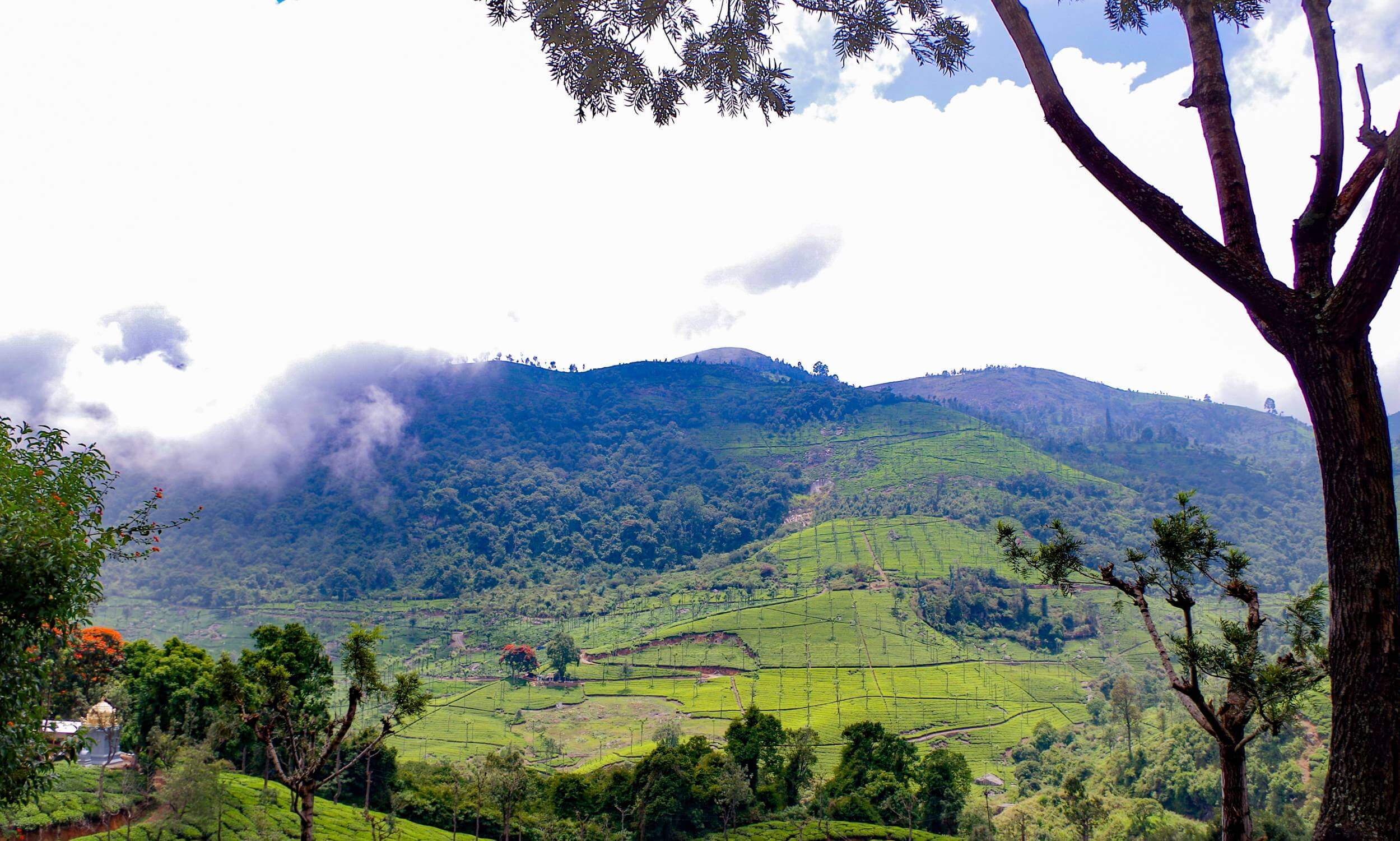 Coonoor- Popular Honeymoon Destinations in South India