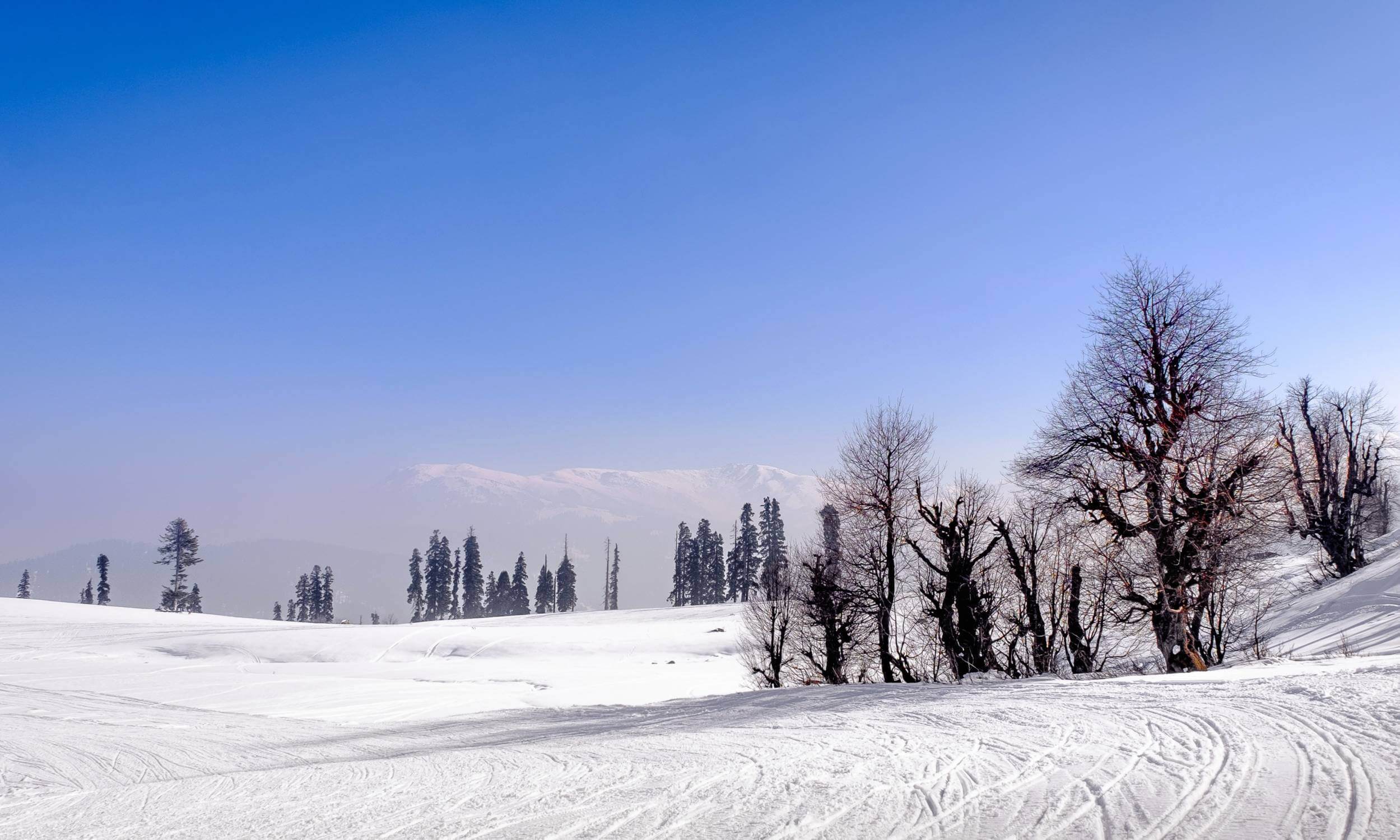 Gulmarg-Top Honeymoon Getaways in North India