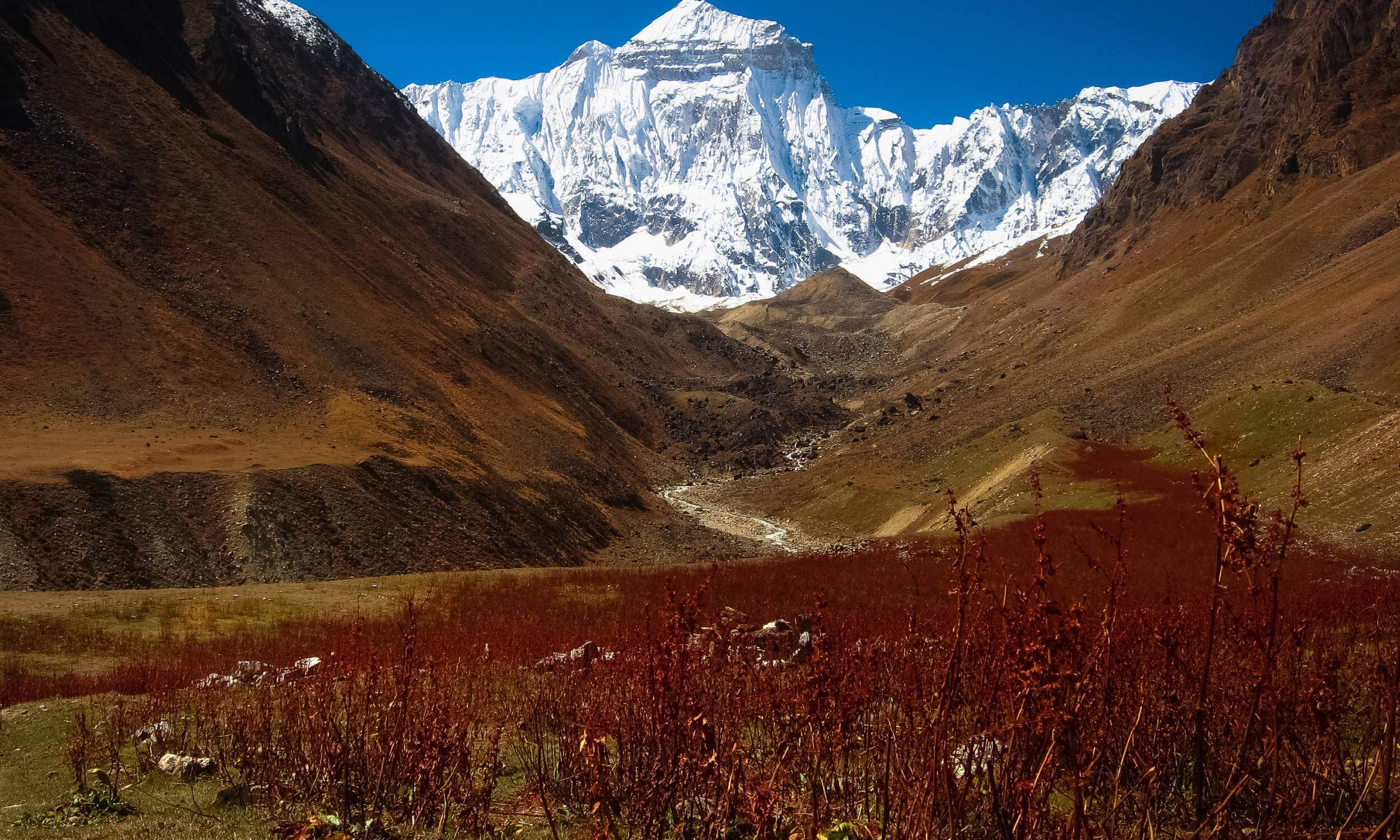 Om Parvat Adi Kailash Yatra Himalayas